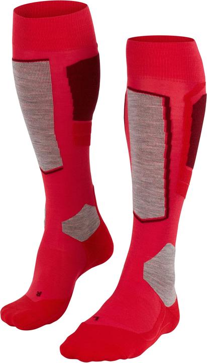 Actual product image Falke SK4 (41 - 42)