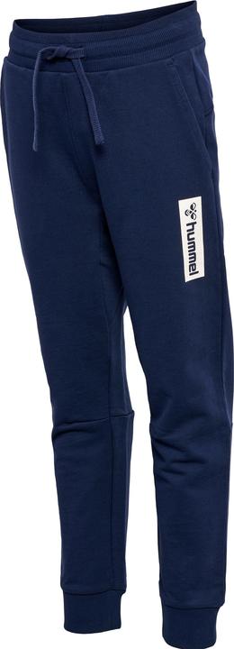 Image du produit hummel Hmlflow Pants