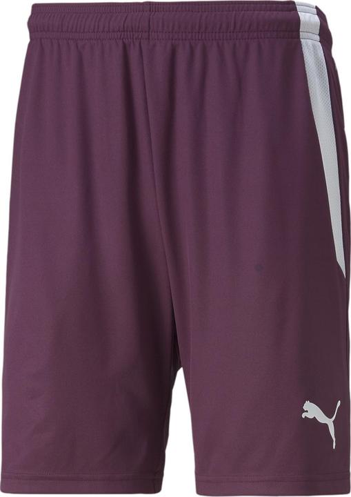 Image du produit Puma Short teamLIGA-704924 (60)