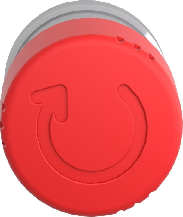 Actual product image Schneider Electric Pushbutton head ZB4BS834