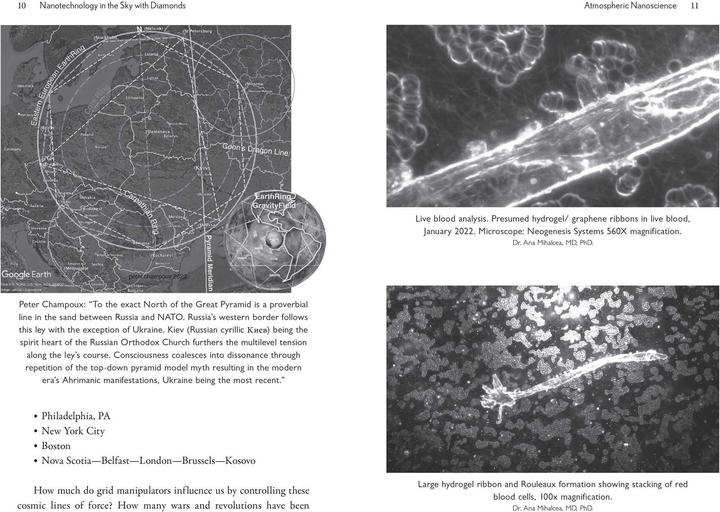 Actual product image The Geoengineered Transhuman (English, Elana Freeland, 2025)