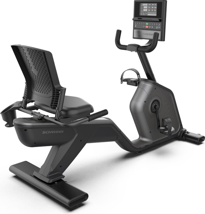 Schwinn Ergometro 590R
