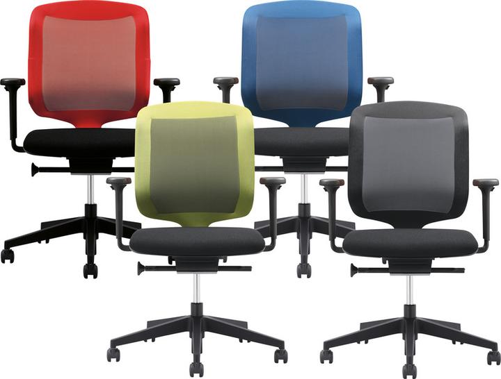 Actual product image Giroflex 434-3019