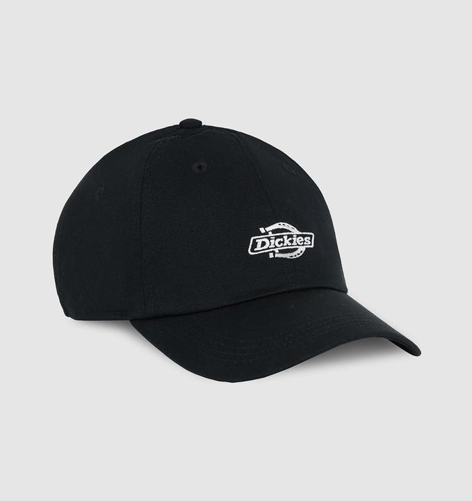 Actual product image Dickies Essential Dad Cap