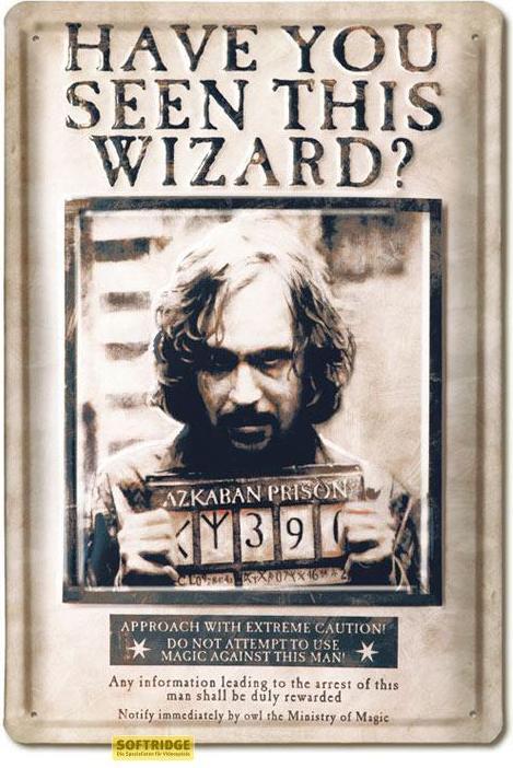 Produktbild Harry Potter panneau métal 3D Have You Seen This Wizard 20 x 30 cm