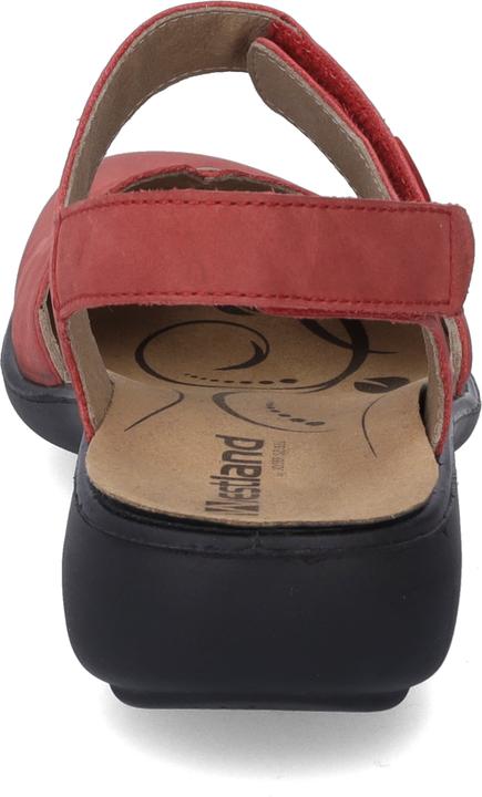 Produktbild Westland 16777-97 (41)