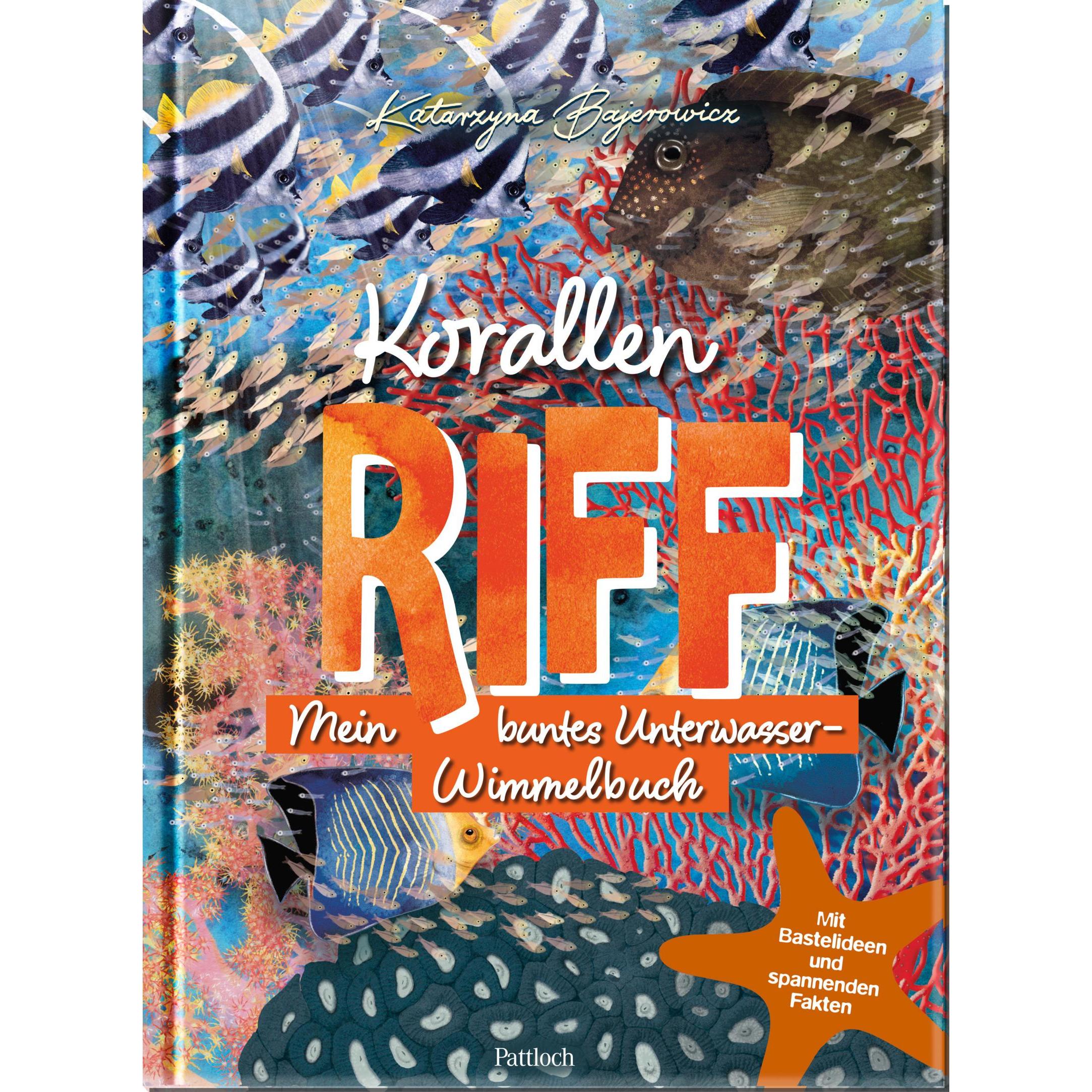 Korallenriff, Kinderbücher von Katarzyna Bajerowicz
