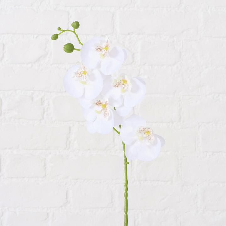 Immagine prodotto Boltze Home Fiore a stelo (6.50 cm)