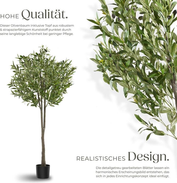 Actual product image tectake Olivenbaum Oleand (150 cm)