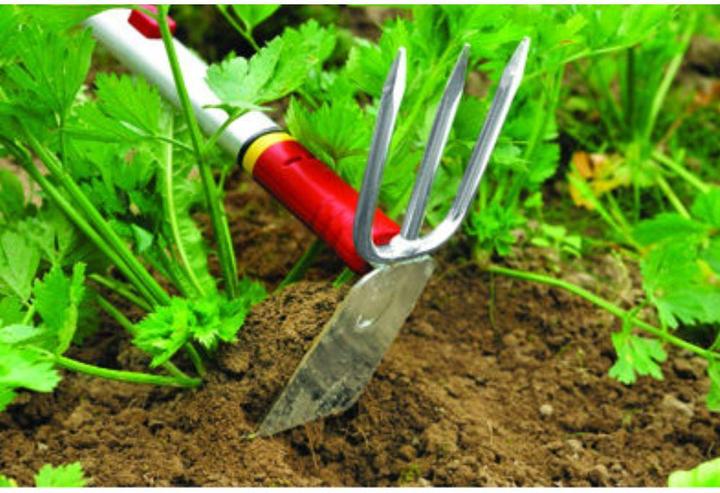 Actual product image Wolf-Garten Double Hoe