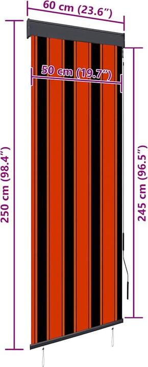 Produktbild vidaXL Aussenrollo (60 x 250 cm)