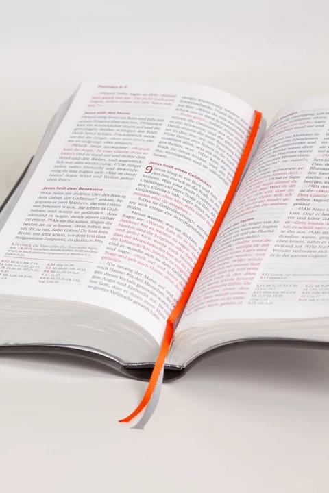 Produktbild Neues Leben. Die Bibel, Standardausgabe, Kunstleder schwarzplatin (Deutsch, 2022)