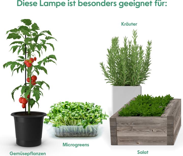 Actual product image Venso grow light (LED, 240 V)