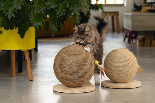 Actual product image Designed by Lotte Balty (27 cm, Brown)