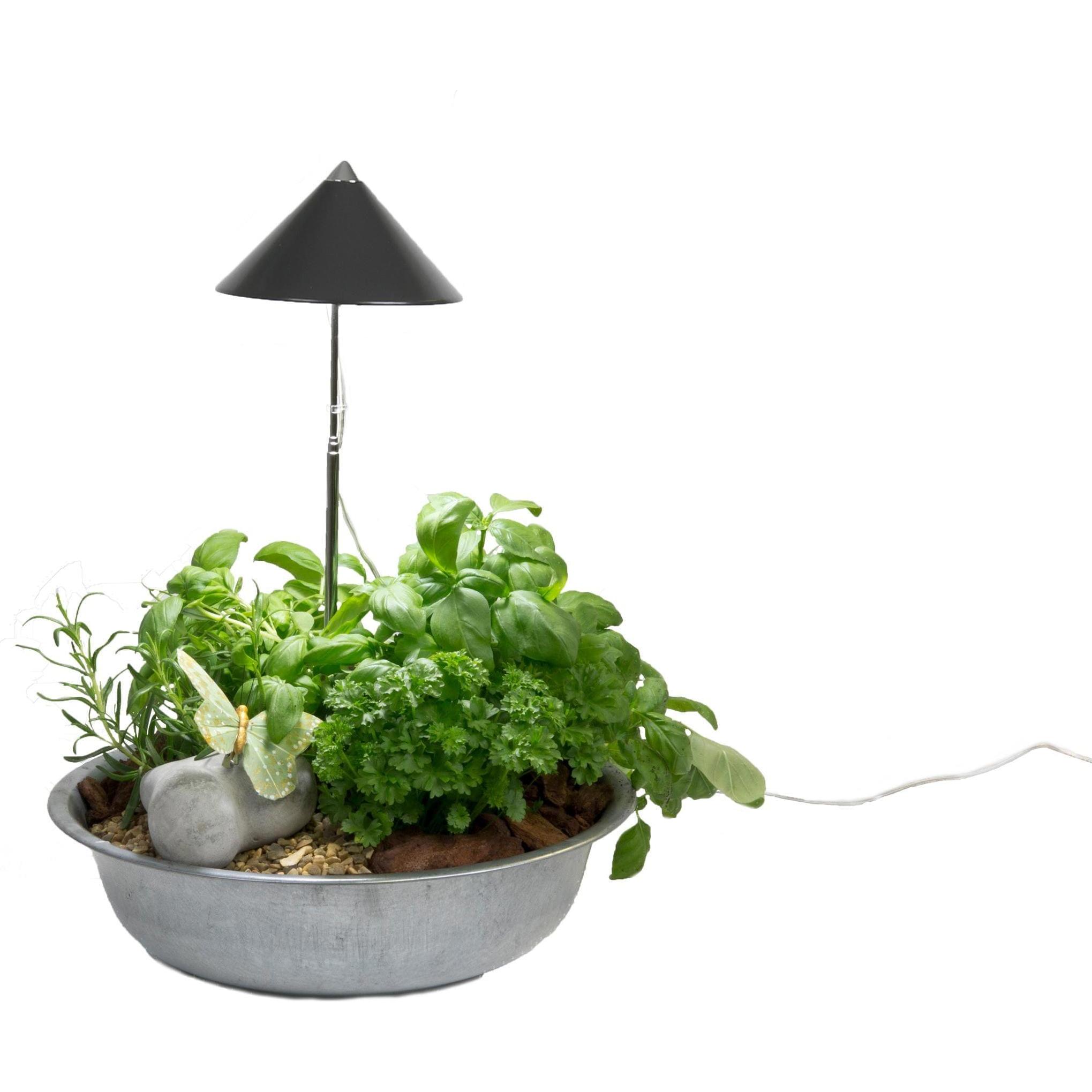 Thumbnail - Colibri, Pflanzenlampe, SUNLiTE grau (LED, 230 V)