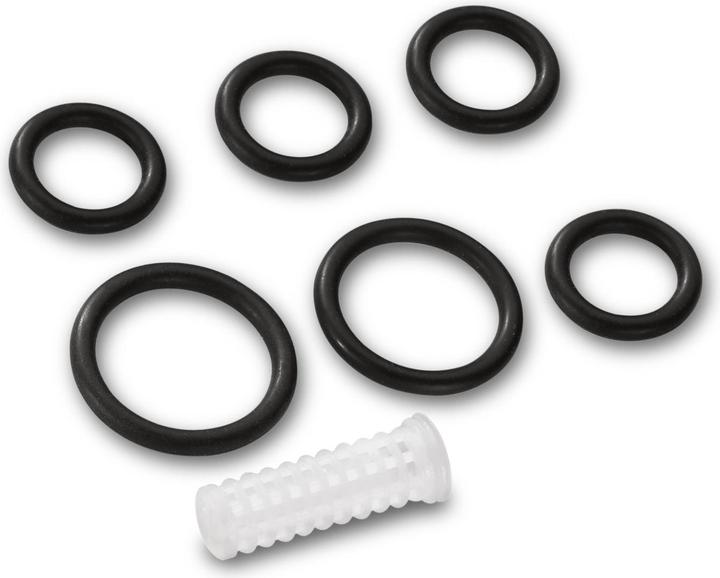Kärcher O-ring set (O-ring, 17.12 mm)