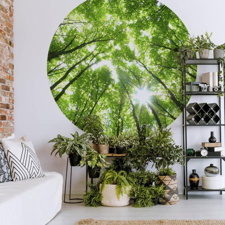 Produktbild Trenddeko Baumkronen im Wald (236 cm)