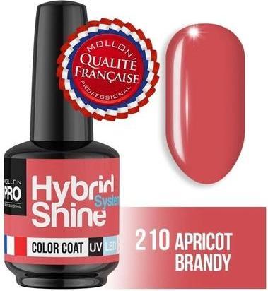 Actual product image Mollon Pro Mol Hss 2/210 - Semi-Permanent Hybrid Nail Polish (Colour paint)