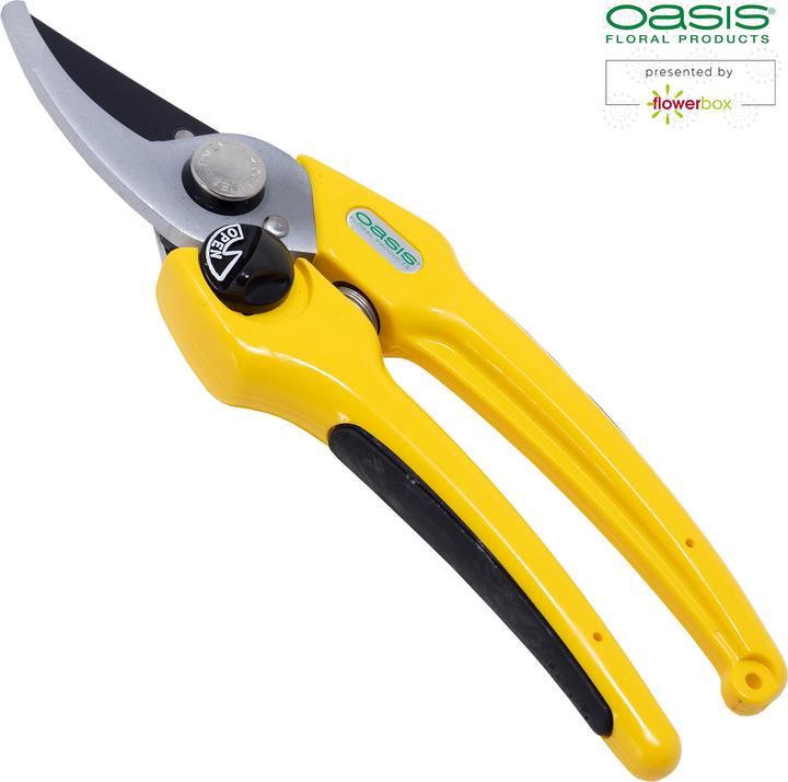 Actual product image Oasis Professional florist scissors