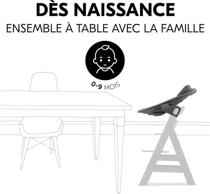 Actual product image Hauck Alpha Bouncer