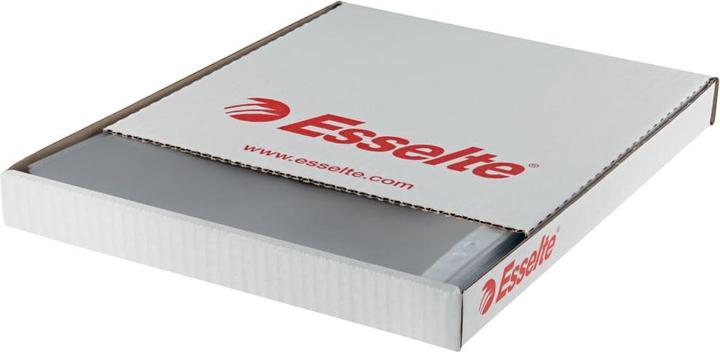 Immagine prodotto Leitz Custodia per brochure Esselte Standard, DIN A4, PP, trasparente, 0,06 mm aperta, incolore, a prova (A4, 1 x)