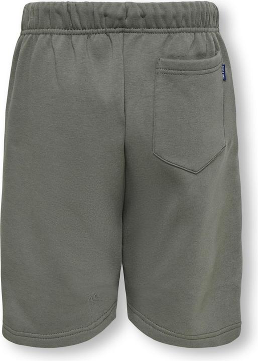 Produktbild Only & Sons Junior Osjceres Shorts Swt Noos (176)