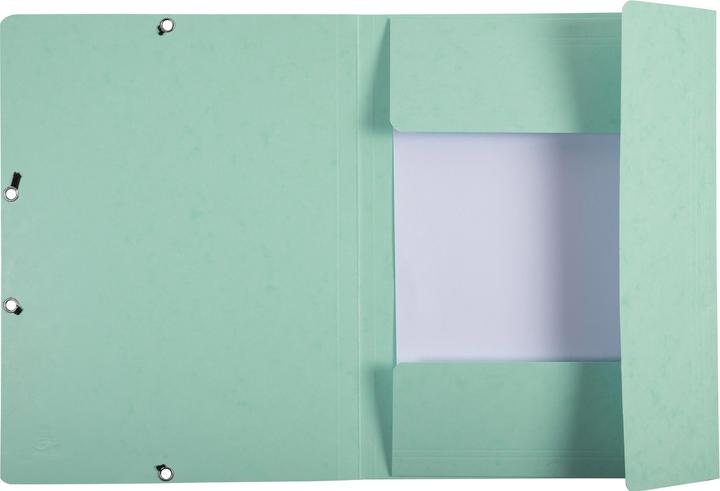 Actual product image Exacompta Folder (A4, 17x)
