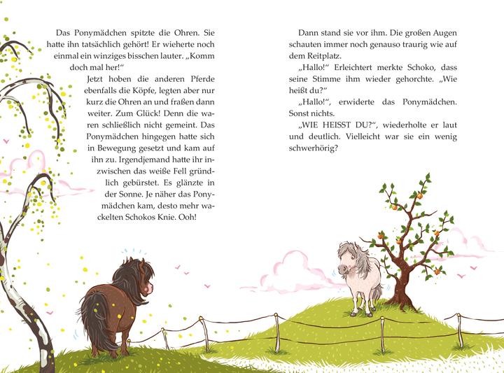 Produktbild Die Haferhorde - Schmetterlinge im Ponybauch - Band 4 (Deutsch, Suza Kolb, 2015)