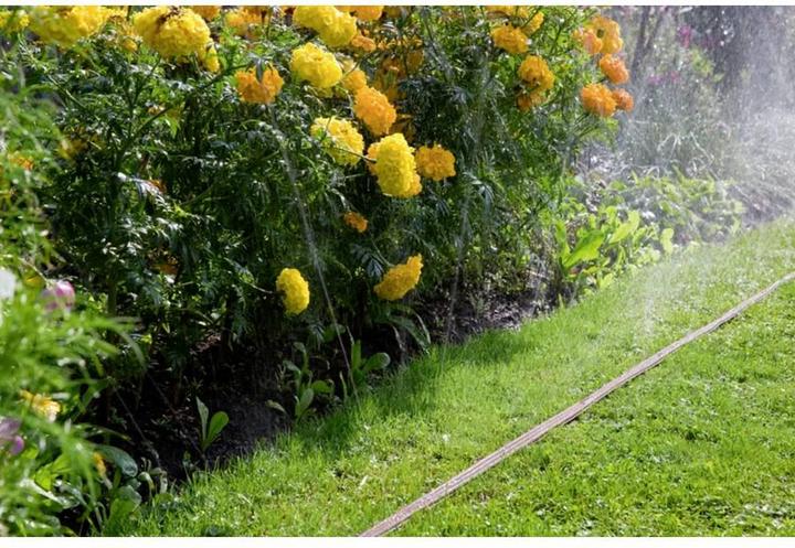 Produktbild Gardena Schlauch-Regner (Schlauchregner)
