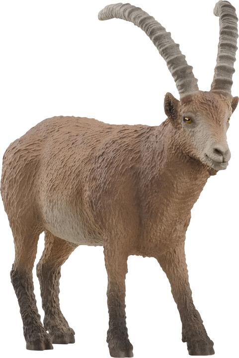 Actual product image Schleich Capricorn