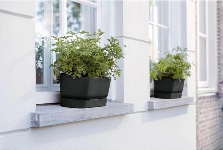 Image du produit Elho Bac à fleurs (19 cm)