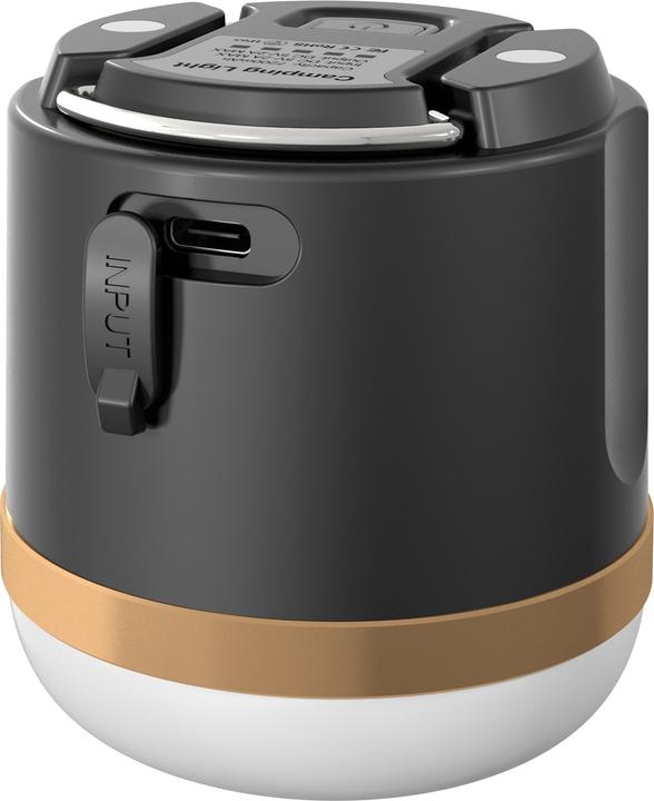 Actual product image EcoFlow Camping Light