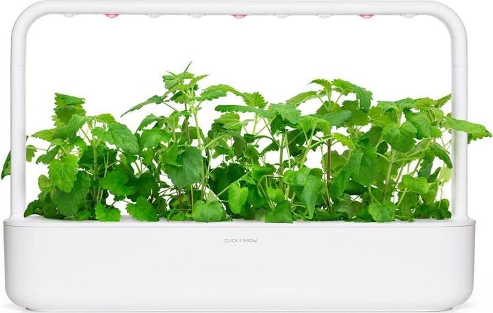 Produktbild Click and Grow Katzenminze (Kräutersamen)