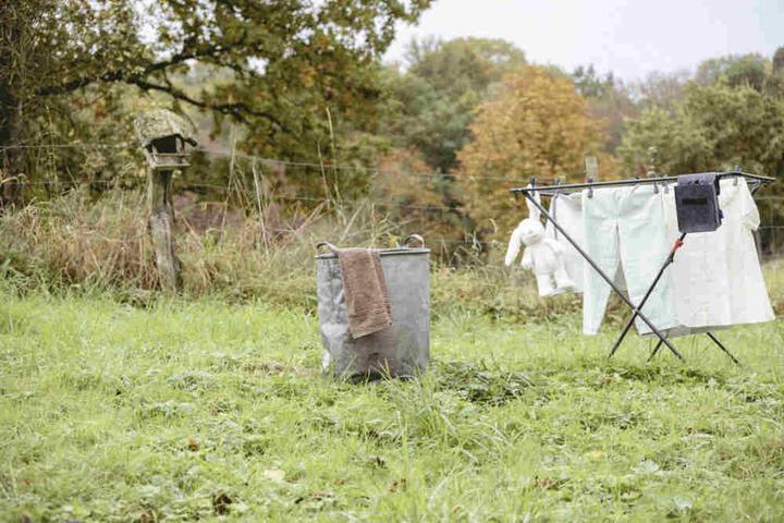 Actual product image Wenko Laundry bin Judy grey (69 l)