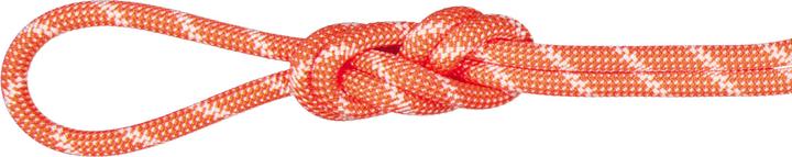 Mammut 8.0 Alpine Classic Kletterseil (30 m)