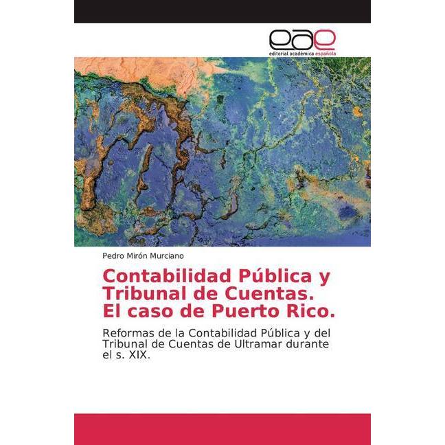 Contabilidad Pública y Tribunal de Cuentas. El caso de Puerto Rico., Fachbücher von Pedro Mirón Murciano