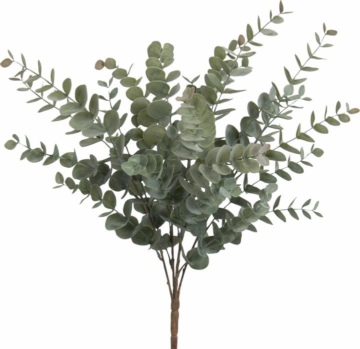 Nährwerte und Zutaten Botanic-Haus Eukalyptusbusch (56 cm)