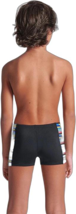 Actual product image Arena B Racing Stripe Swim Short (164)
