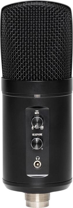 Actual product image Stagg SUSM60D USB large diaphragm microphone