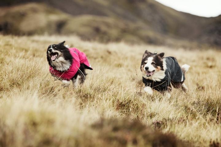 Produktbild Hurtta Summit Parka raven (55, Hundemantel)