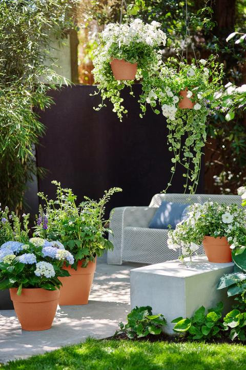 Actual product image Elho Vibia Campana (24.50 x 21 cm)