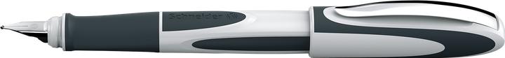 Actual product image Schneider Ray fountain pen (white/dark grey, 1 x)