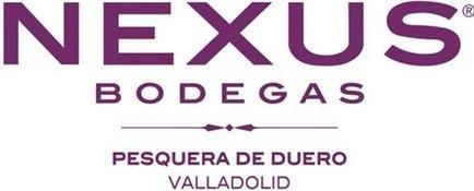 Immagine prodotto Bodegas Nexus Nexus One Ribera del Duero DO (1 x 75 cl, 2021)