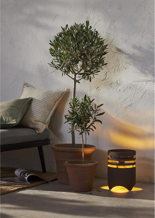 Actual product image Star Trading Solar decoration Marron (40 lm, IP44)