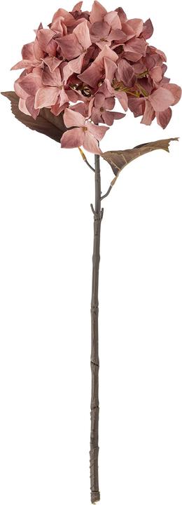 Produktbild Bloomingville Hydrangea (65 cm)