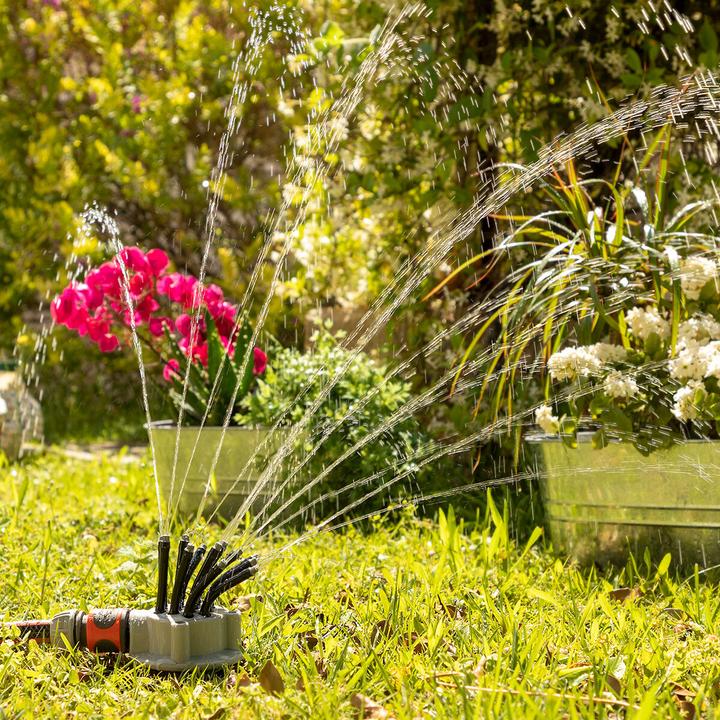 Actual product image InnovaGoods Water sprouts for the garden - 360º
