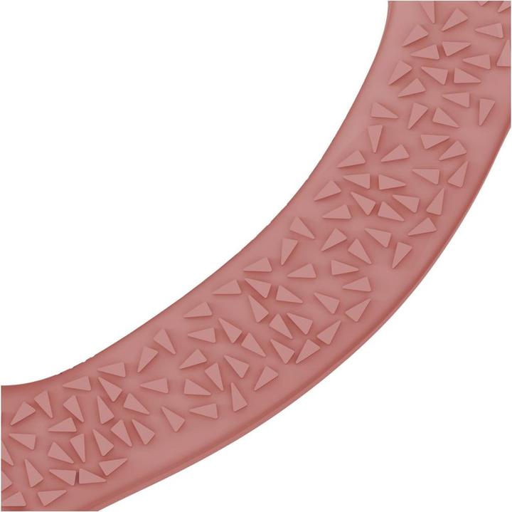 Produktbild Everyday Baby Silikon Beissring (0 Monate)