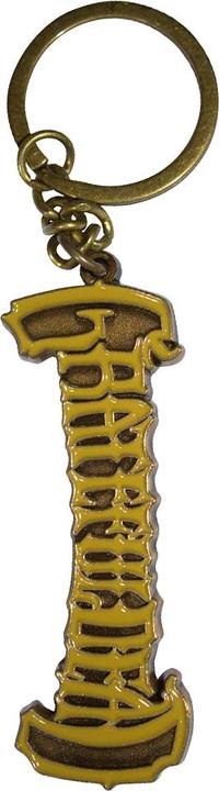 Actual product image Grateful Dead Logo Keyring