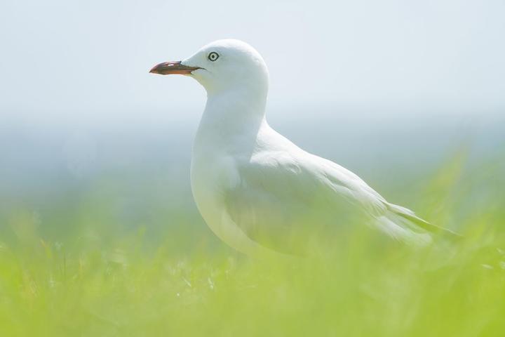 Immagine prodotto Tamron 28-300 mm F/4-7.1 Di III VC VXD Sony E (Sony E, Full frame)