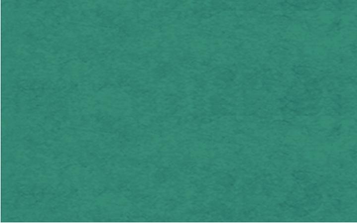 Immagine prodotto Ursus Carta Dragon 70 x 100 cm, 42 g/m², verde scuro (42 g/m², 1 x)